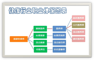 健康管理師與營養(yǎng)師的核心區(qū)別及營養(yǎng)健康管理指南